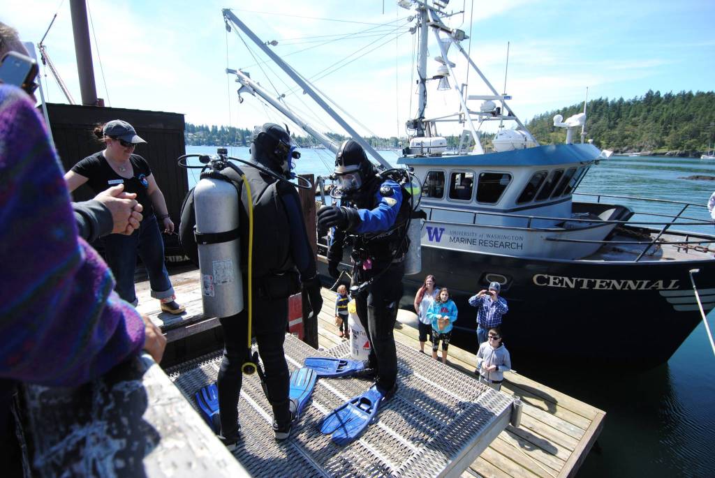 Staff photo/Tate Thomson