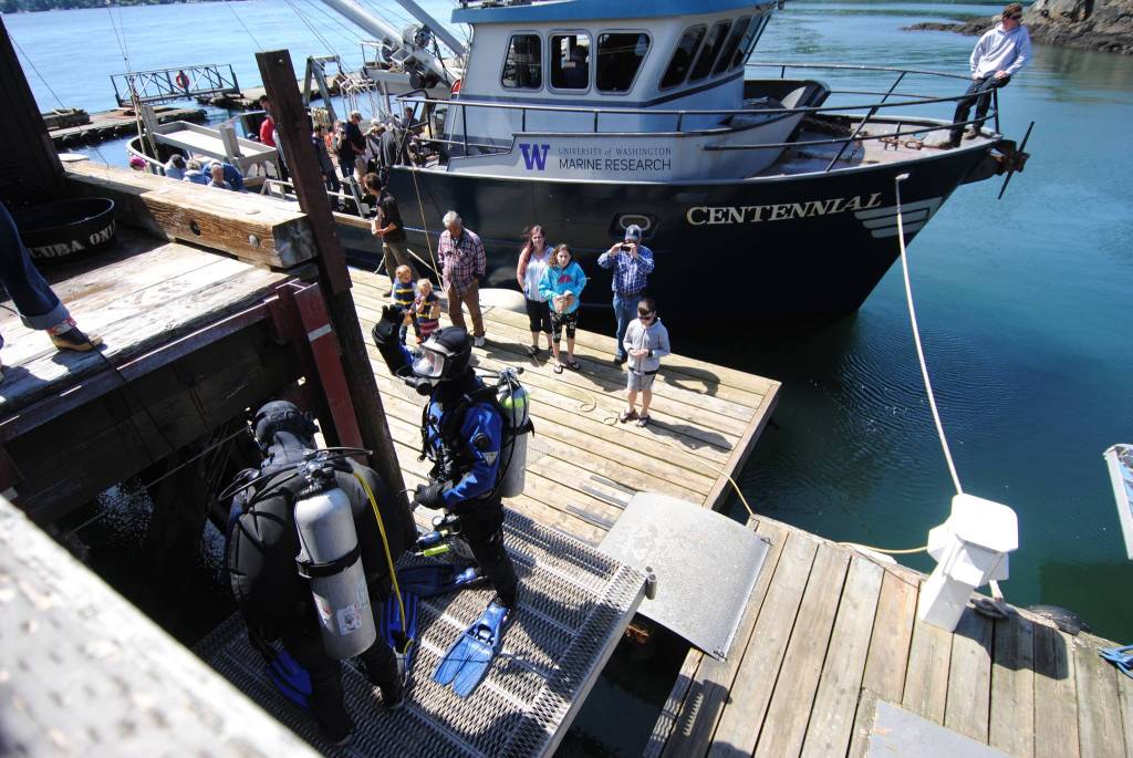 Staff photo/Tate Thomson