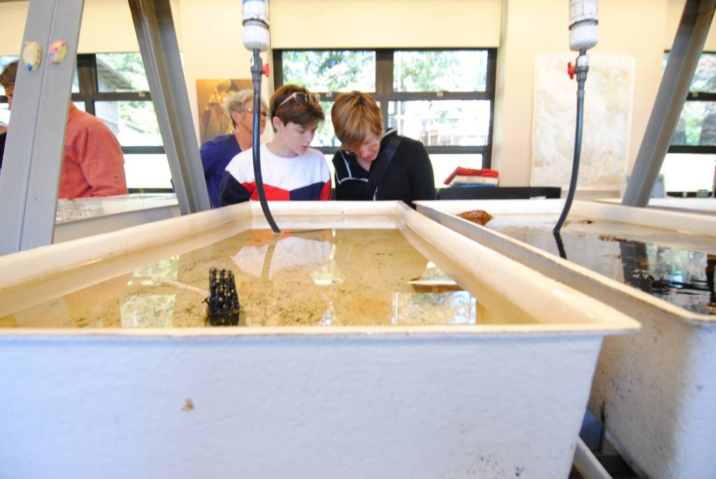 Staff photo/Tate Thomson