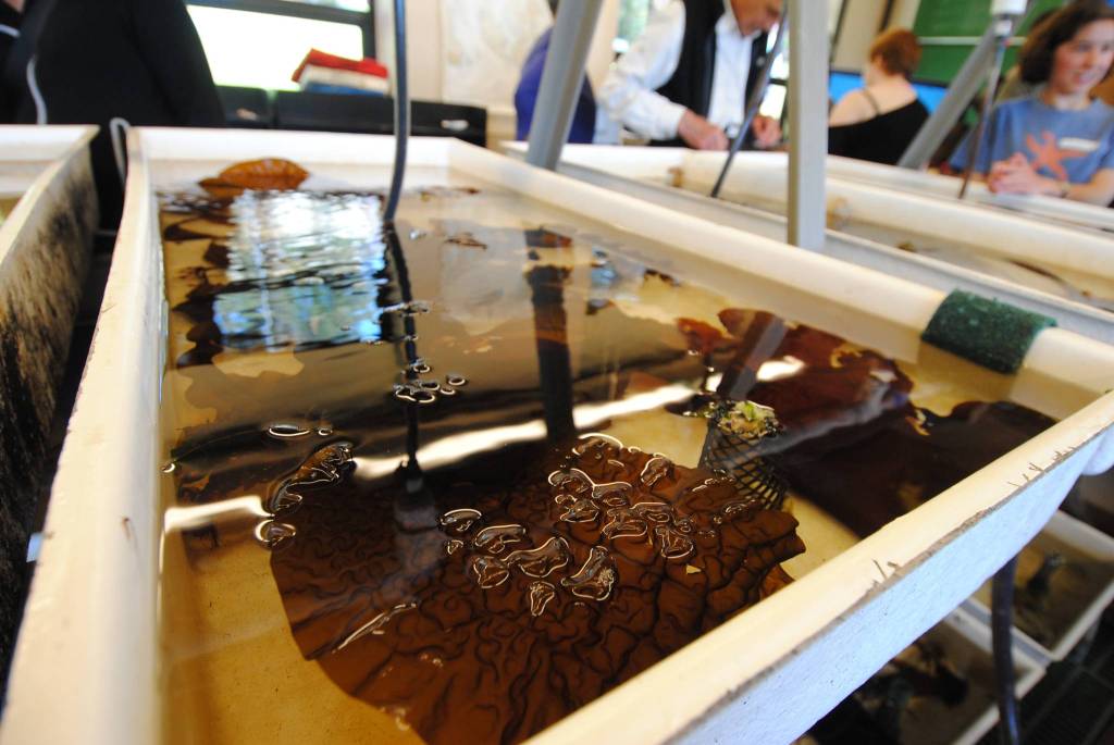 Staff photo/Tate Thomson