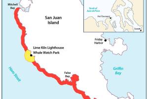 Government officials try voluntary vessel-free zone before federal mandate