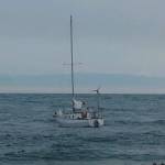 Contributed photo/Dante Aubert