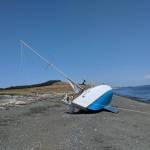 Contributed photo/Dante Aubert