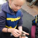 Contributed photo/Jenny Roberts                                Students doing field work.