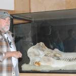 Staff photo/Heather Spaulding