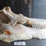 Staff photo/Heather Spaulding