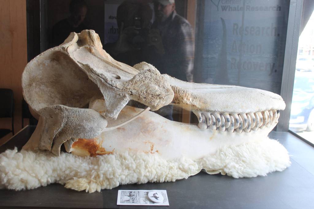 Staff photo/Heather Spaulding