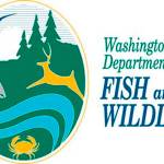 State changes fishing rules to protect Columbia River Chinook salmon