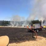 Contributed photo/San Juan Island National Historical Park
