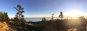 Contributed photo/Paul Mayer                                The view from the top of Mount Grant shows trees on San Juan Island. Planting trees is a symbol for the idea of Rotary.