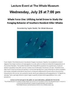 Whale Museum presents lecture on utilizing drones to study local orcas
