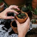 Save the world, plant a garden | Recap of permaculture lecture at the Grange