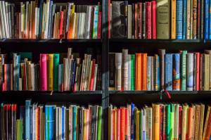 Annual Friends of the San Juan Island Library book sale