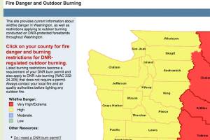 Burn ban in effect throughout Washington state