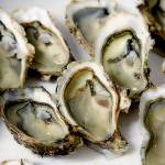 Recreational shellfish harvesting re-opens in San Juan County | Update