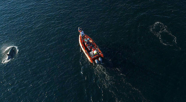 Contributed photo/John Gussman/NOAA Fisheries, under permit 18786. Response team tracks J pod near San Juan Island, on Aug. 9, 2018.