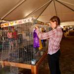 Contributed photo/Ted Strutz                                A photo of a previous county fair taken by Ted Strutz.