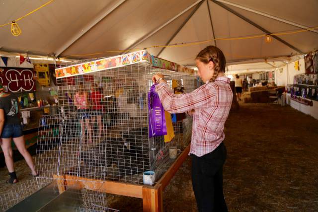 Contributed photo/Ted Strutz                                A photo of a previous county fair taken by Ted Strutz.