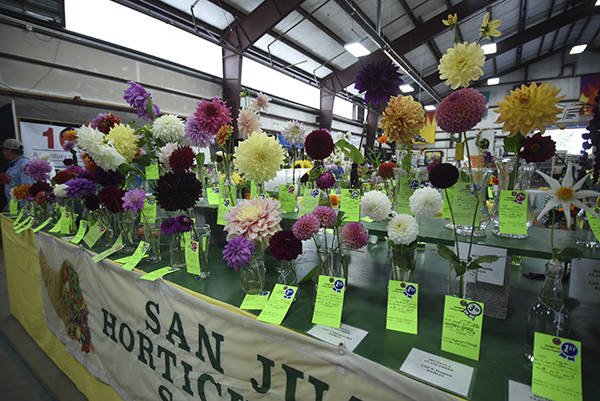 Staff photo/Tate Thomson