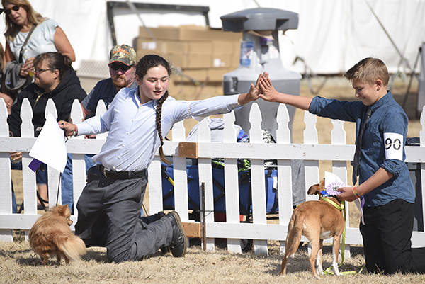 Staff photo/Tate Thomson