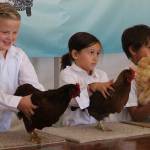 Staff photo/Hayley Day