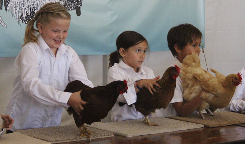 Staff photo/Hayley Day