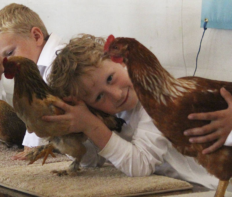 Staff photo/Hayley Day