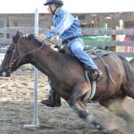 Staff photo/Colleen Smith