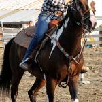 Staff photo/Colleen Smith