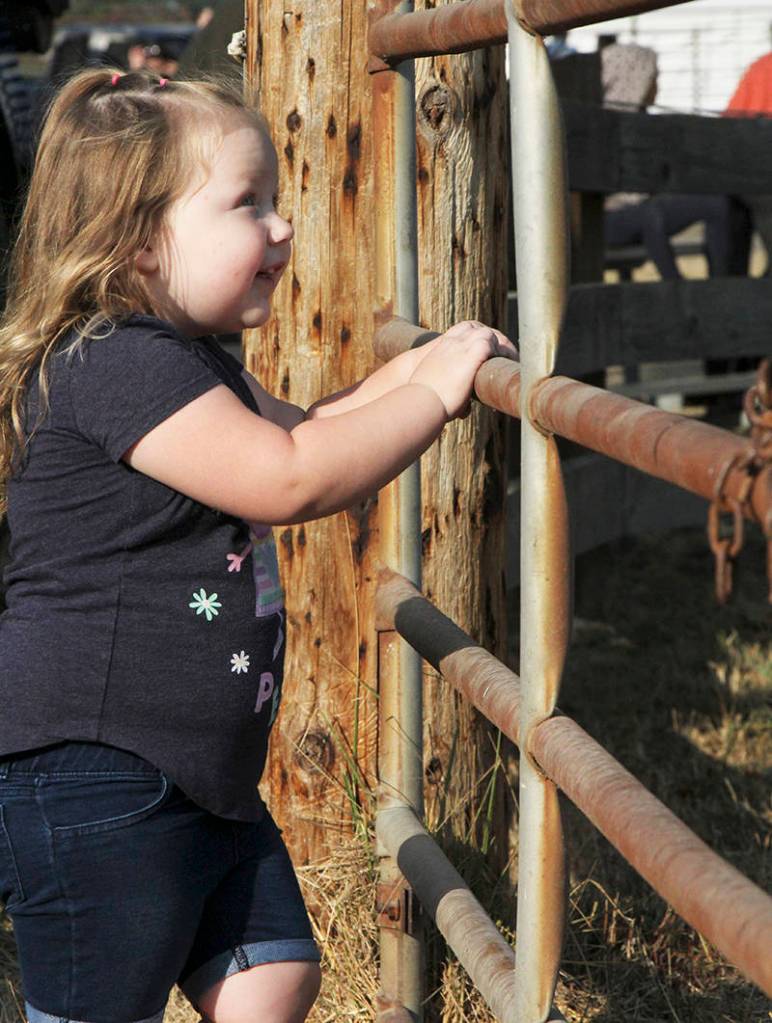 Staff photo/Colleen Smith