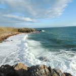 Shoreline Master Program needs updates to protect marine habitat