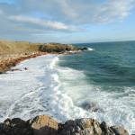 Shoreline Master Program needs updates to protect marine habitat