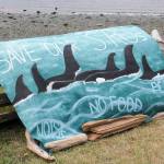 Staff photos / Mandi Johnson