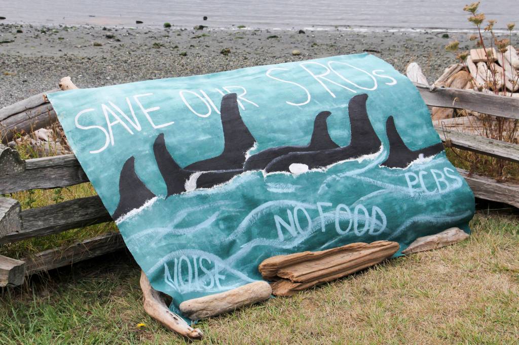 Staff photos / Mandi Johnson