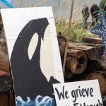 Contributed photos / Robert S. Harrison