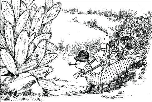 Contributed photo. An old newspaper cartoon depicting the moth.