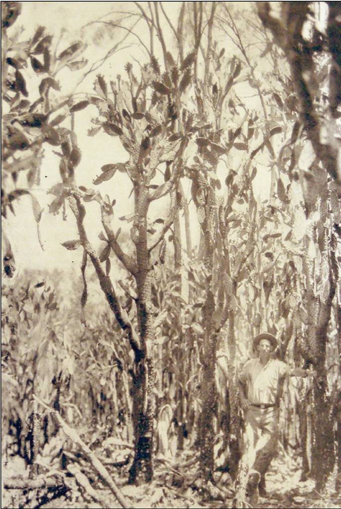 Contributed photo. Man standing by the cactus.