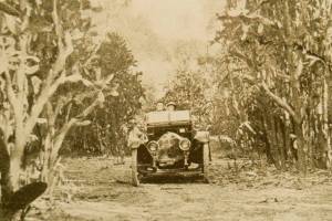 How the call for red coats turned a county into a cactus