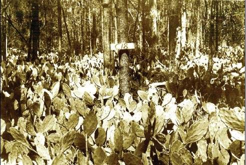 How the call for red coats turned a county into a cactus