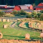 Savor the San Juans celebrates island grown food and fun