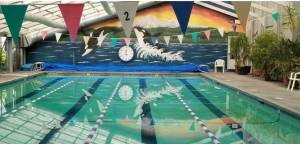 Contributed photo/San Juan Island Fitness                                The club practices at the pool at San Juan Island Fitness.