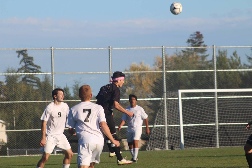 Wolverines boys, girls soccer teams face fierce competitors | Update