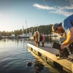 Contributed photo/www.facebook.com/kesha                                Kesha at the Port of Friday Harbor.