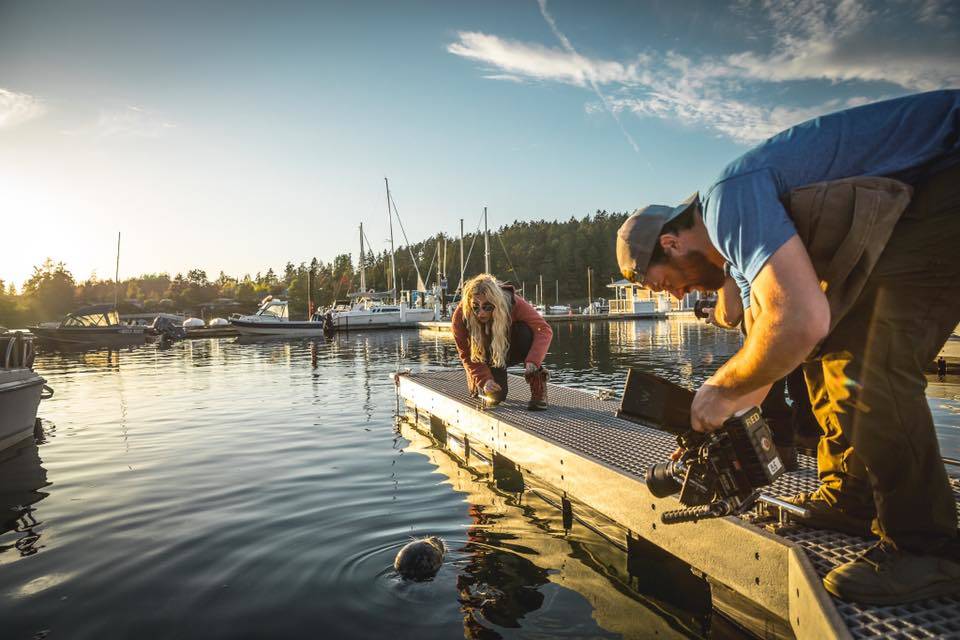 Contributed photo/www.facebook.com/kesha                                Kesha at the Port of Friday Harbor.