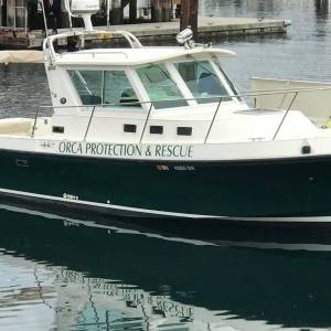 Contributed photo/www.facebook.com/OrcaProtection