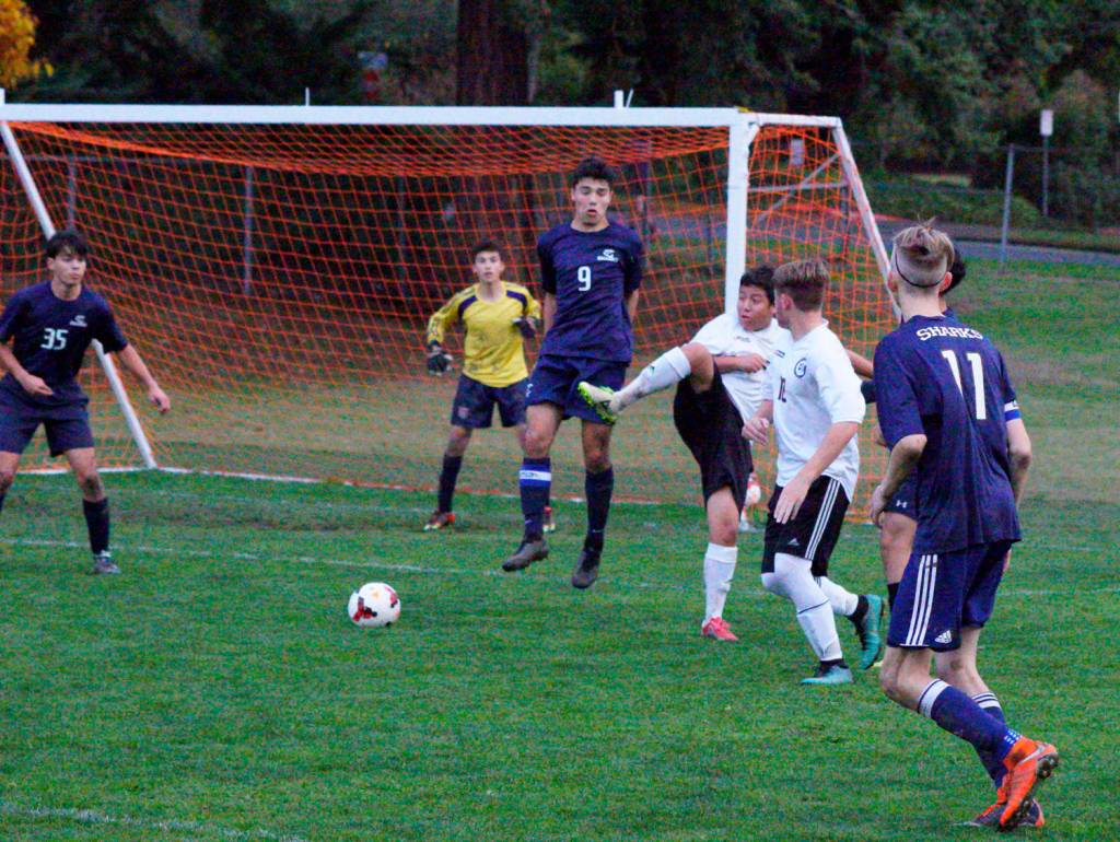 Contributed photo/ Claudia Mills