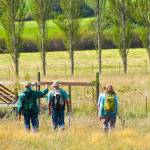 San Juans residents look to connect existing trails | Update