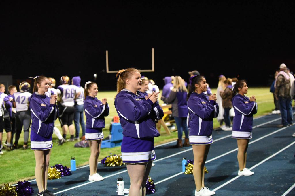 Contributed photo/John Stimpson                                Plenty of cheering at the Wolverine vs Lions mini-playoff.