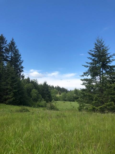 Contributed photo/Rosa Blair                                The beauty of the Ihiya Biological Reserve.