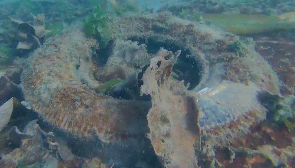 Contributed photo/Emmett Carrier and Evan Foley                                An ROV photographs trash at the bottom of the sea floor in the Port of Friday Harbor